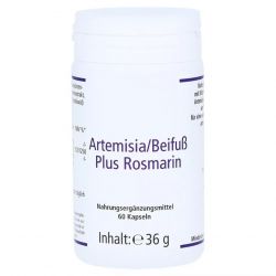 Артемизинин 150 мг капс. 60шт в Балашихе и области фото