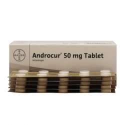 Андрокур (Ципротерон) таблетки 50мг №50 в Балашихе и области фото